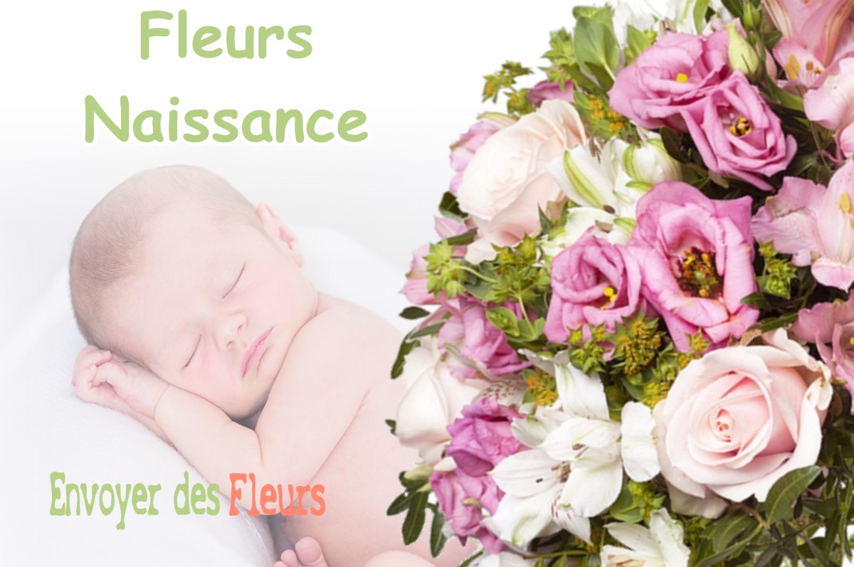 lIVRAISON FLEURS NAISSANCE à MONAY